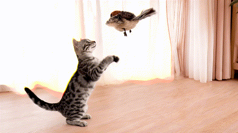 Pawvera™ Interactive Flapping Bird Toy for Indoor Cats