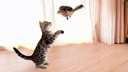 Pawvera™ Interactive Flapping Bird Toy for Indoor Cats