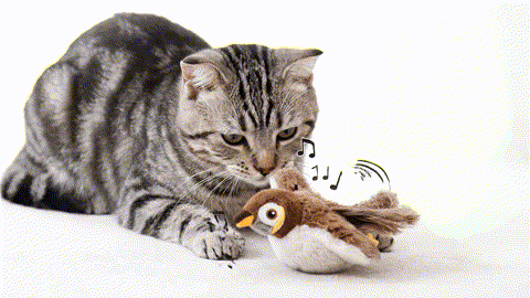 Pawvera™ Interactive Flapping Bird Toy for Indoor Cats